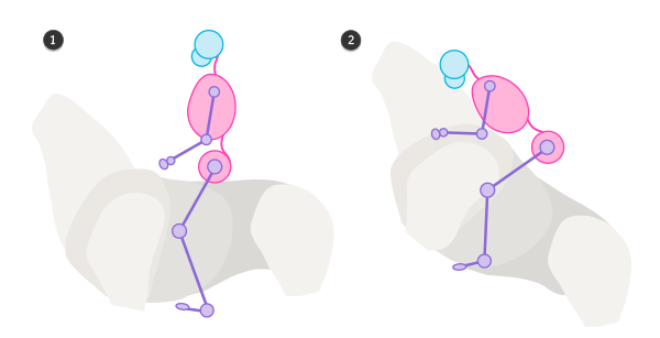 how to draw horse rider pose sitting rearing 