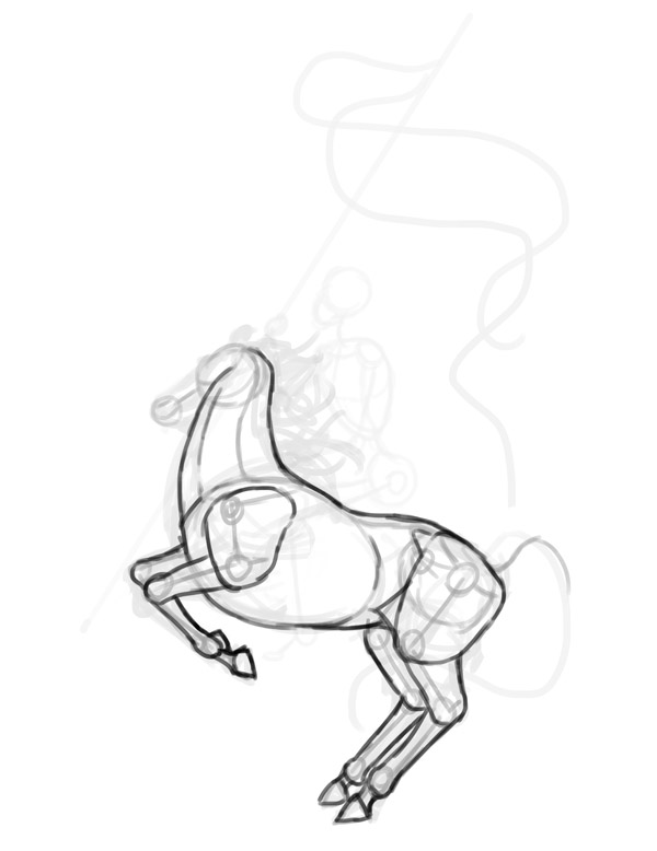 horse anatomy rider drawing 2