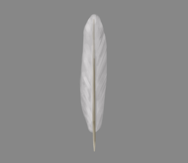 how to paint draw feathers photoshop 