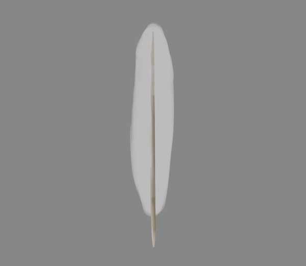 how to paint draw feathers photoshop 3