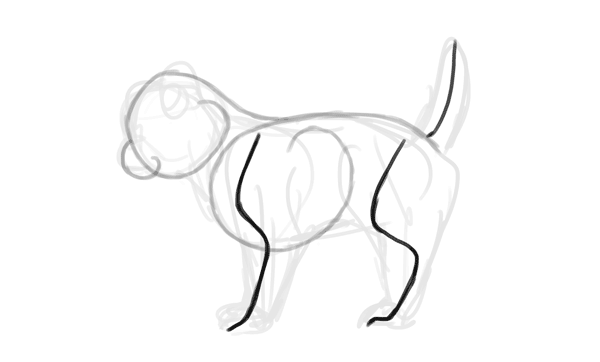 photoshop draw sketch kitten cat simple 6