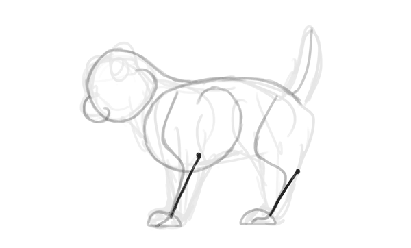 photoshop draw sketch kitten cat simple 8