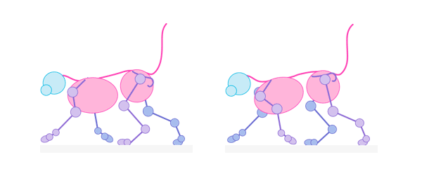 cat pacing gait pace walking animation cycle frames 2