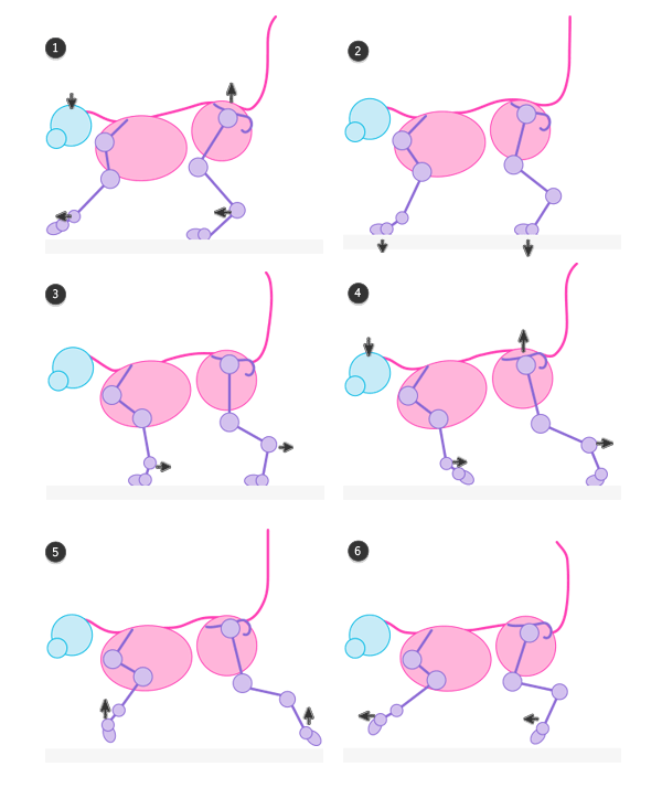 cat pacing gait pace walking animation cycle frames 4