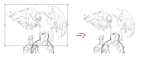 Free Transform to Decrease Owl Layer