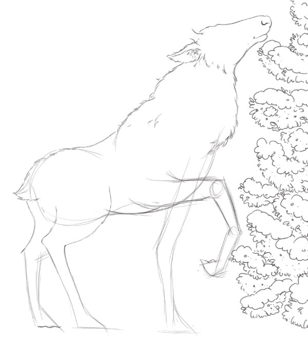 Deer line art - rough leg poses