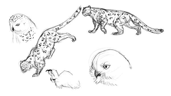 animation animal griffin sketches warm up