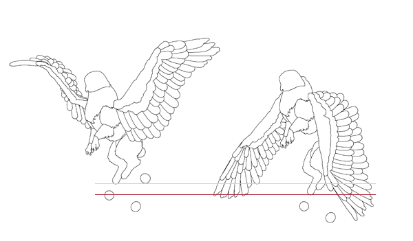 animation animal griffin flight flying wings draw photoshop body 10