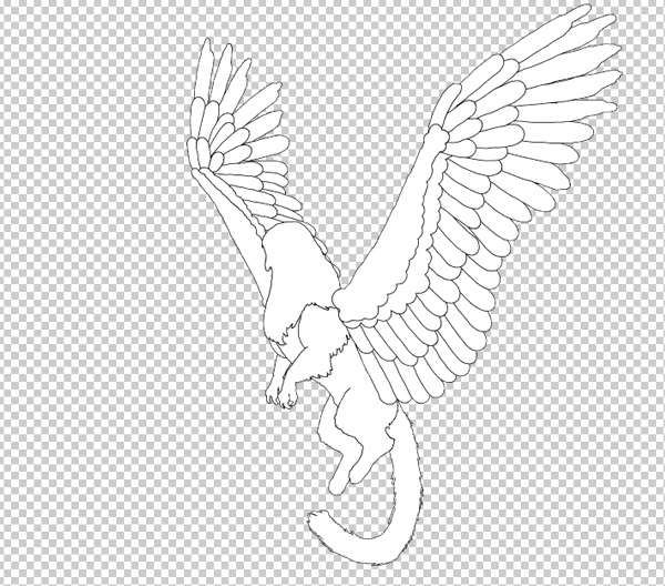 animation animal griffin flight flying wings draw photoshop body lineart 5