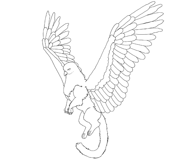 animation animal griffin flight flying wings draw photoshop body lineart 7