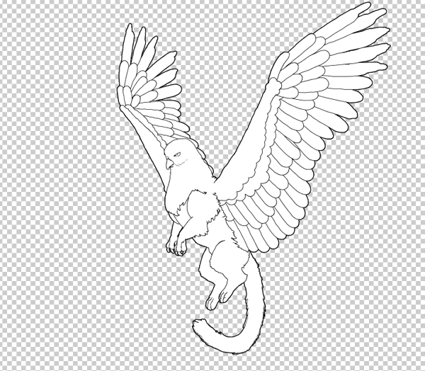 animation animal griffin flight flying wings draw photoshop body lineart 10