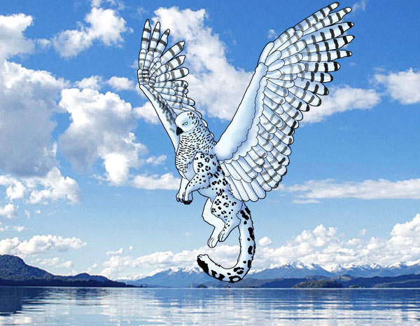 animation animal griffin flight flying wings draw photoshop final 4