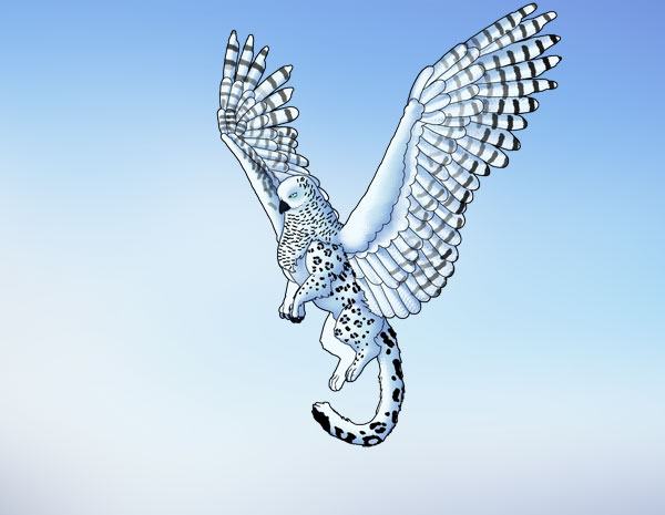 animation animal griffin flight flying wings draw photoshop final 5