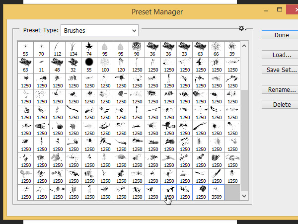 Open brushes Preset Manager