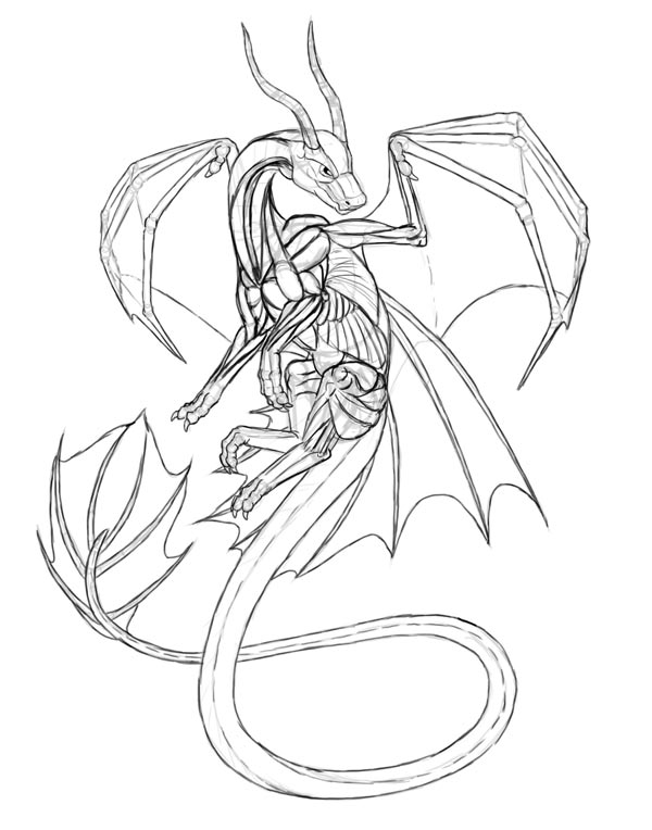 dragon lineart 