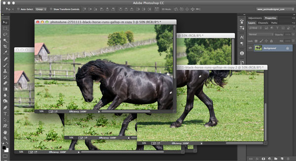 10 Ways to Make Photoshop Run Faster on Your Machine