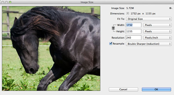 10 Ways to Make Photoshop Run Faster on Your Machine