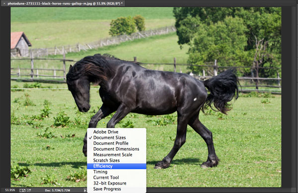 10 Ways to Make Photoshop Run Faster on Your Machine