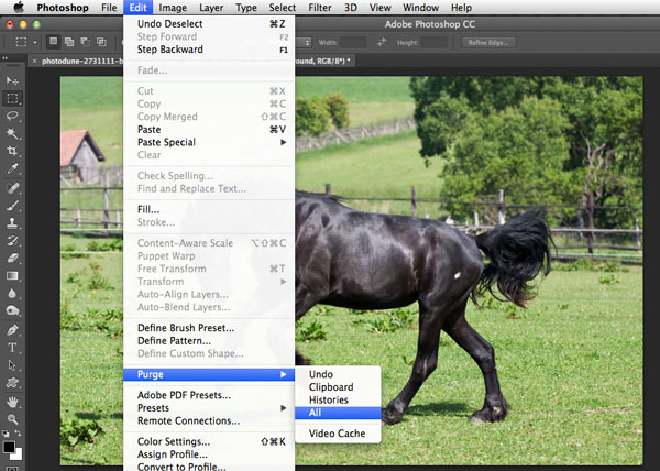 10 Ways to Make Photoshop Run Faster on Your Machine