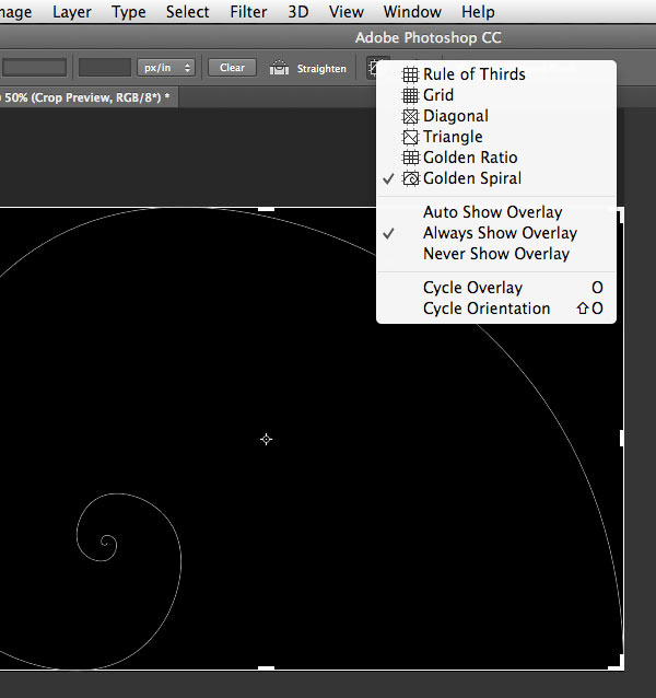 10 Crop Tool techniques