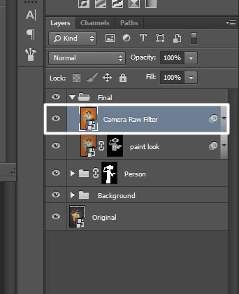 Camera raw filter layer
