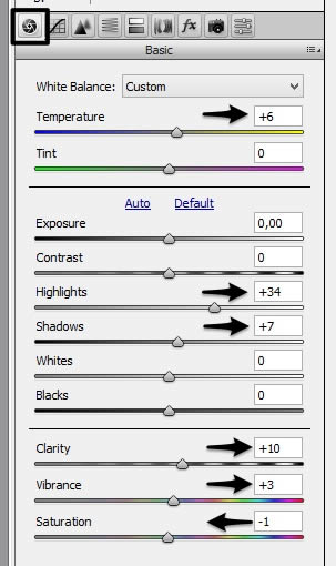 Camera raw filter