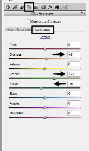 Camera raw filter settings