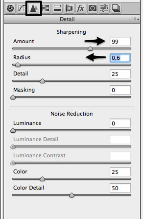 Camera raw filter settings