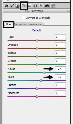 Camera raw filter settings