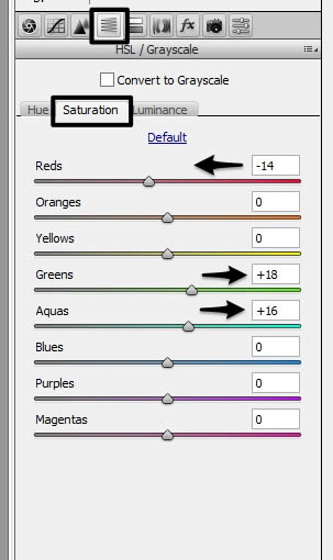 Camera raw filter settings