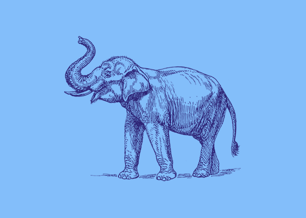 photoshop-and-web-design-elephant