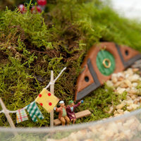 Make Your Own Hobbiton Miniature Garden