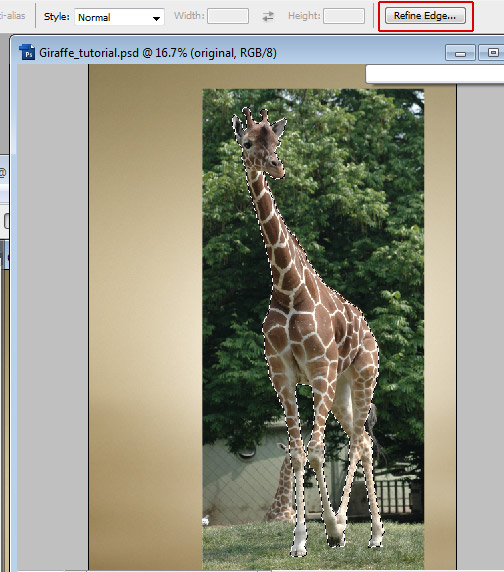 Undress a Giraffe in Photoshop