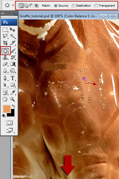 Undress a Giraffe in Photoshop