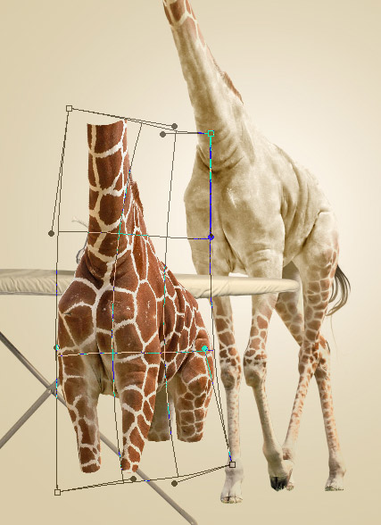 Undress a Giraffe in Photoshop