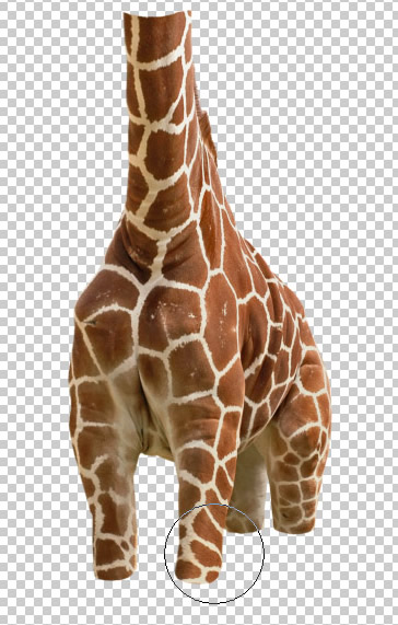 Undress a Giraffe in Photoshop