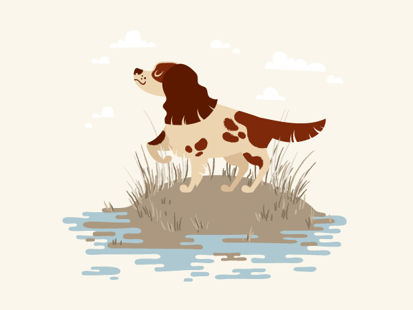 cartoon hunting spaniel dog textured illustration is finished