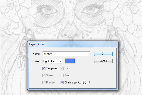 sketch layer options