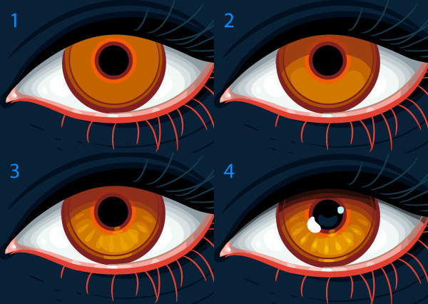 detailing of the eyes