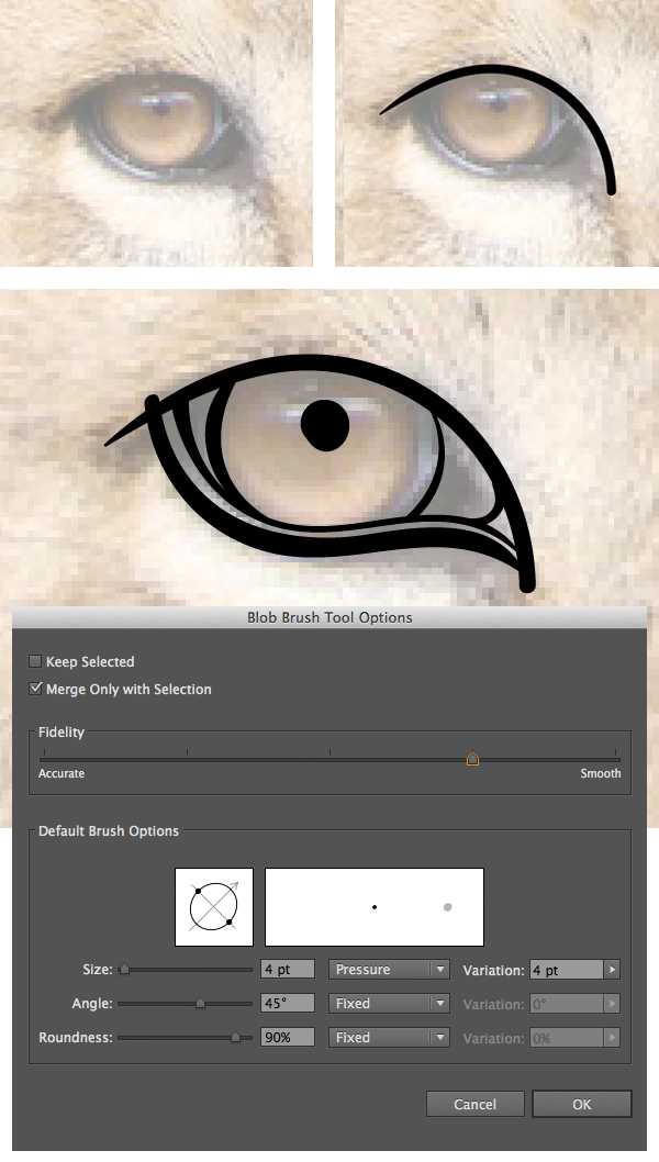 start drawing the eye with the blob brush tool