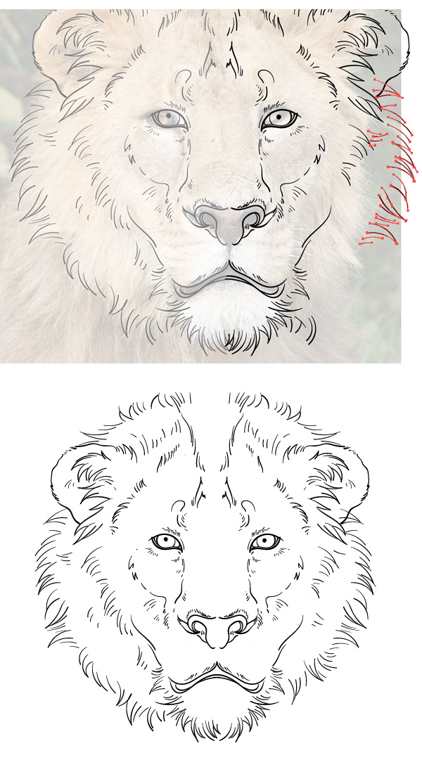 redraw the mane