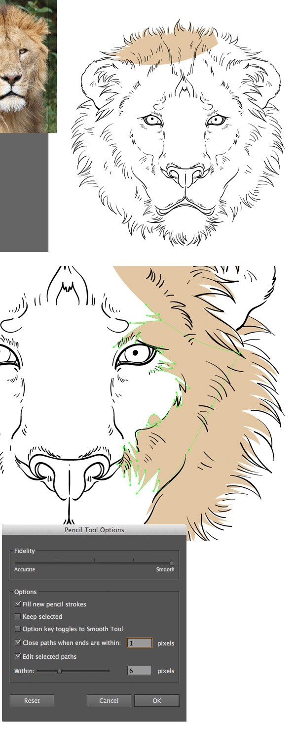 use the pencil tool to color the mane