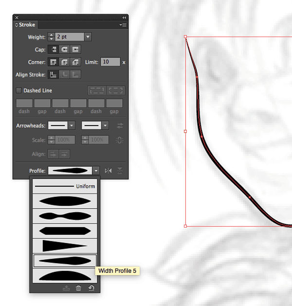 Width Profile