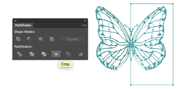 Crop butterfly