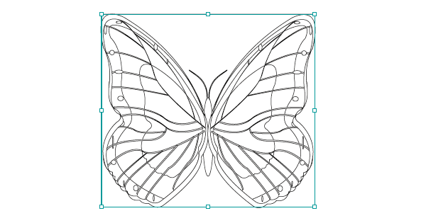 Black stroke butterfly