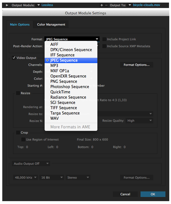 Select JPEG Sequence in the Format of the Output Module