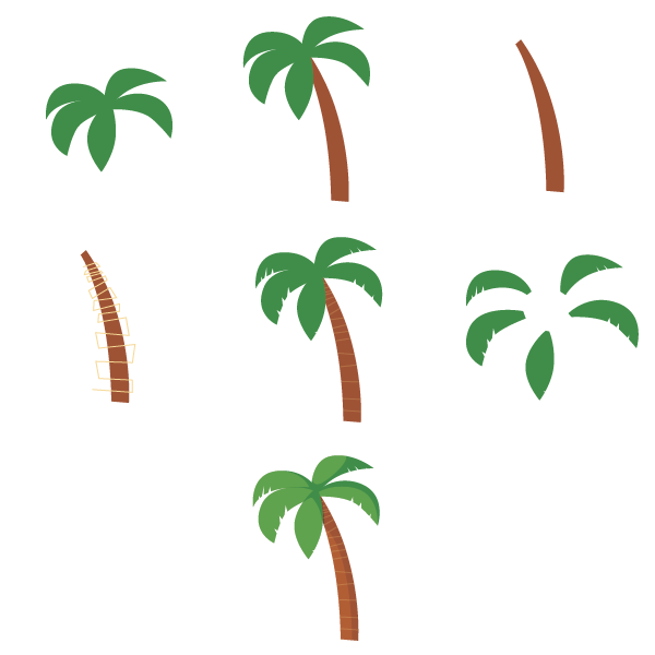 Process of a palm tree