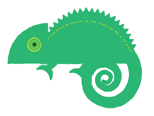 Add shapes and textures to your chameleon design