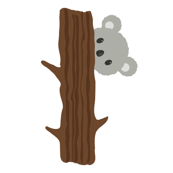 placing the koalas head