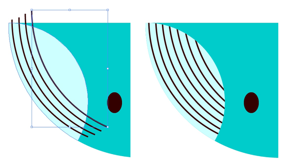 Draw curved lines for the whales throat grooves